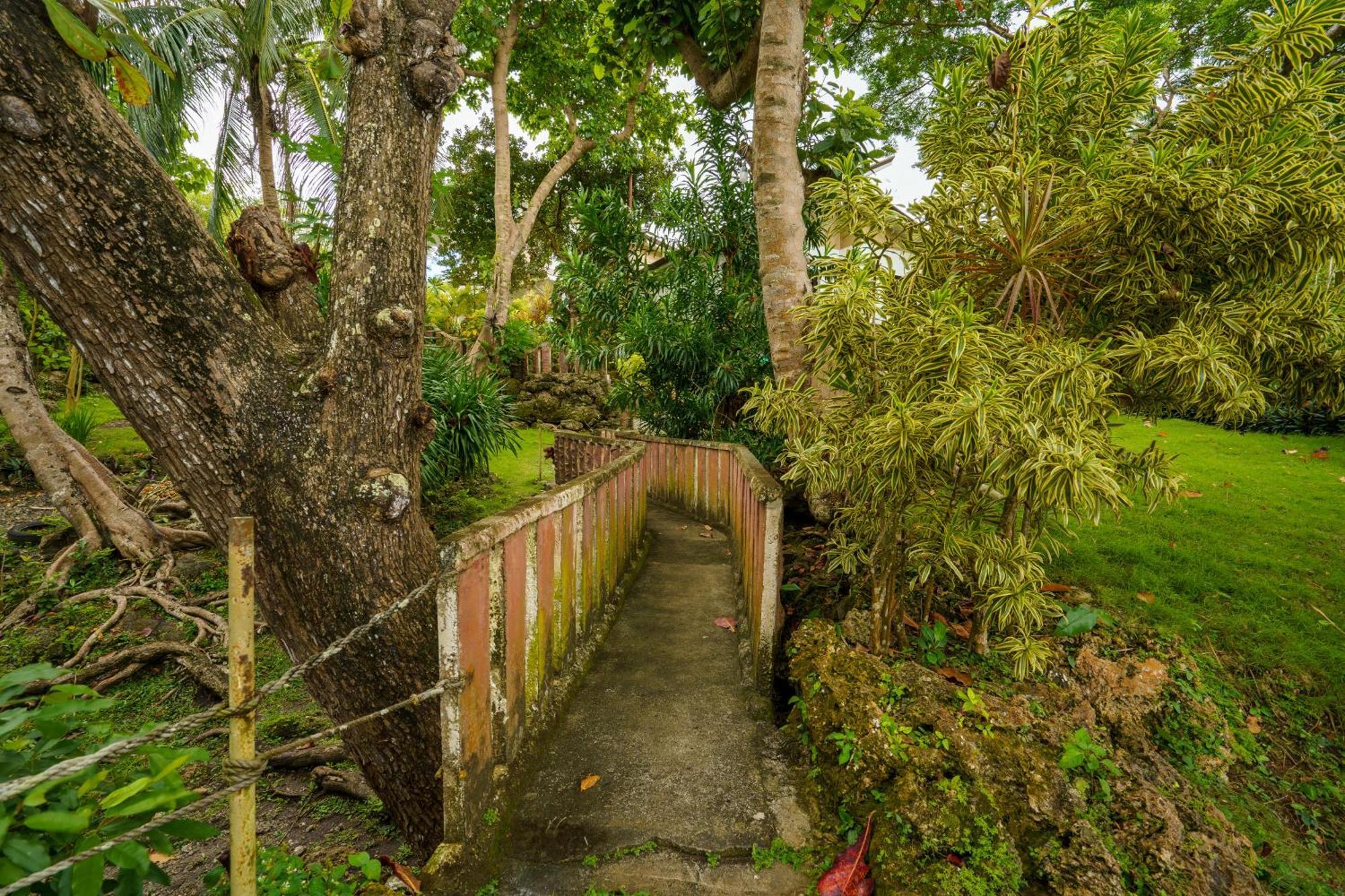 Oceanside 2 Bedroom House, 100mbps Wifi Holiday home *