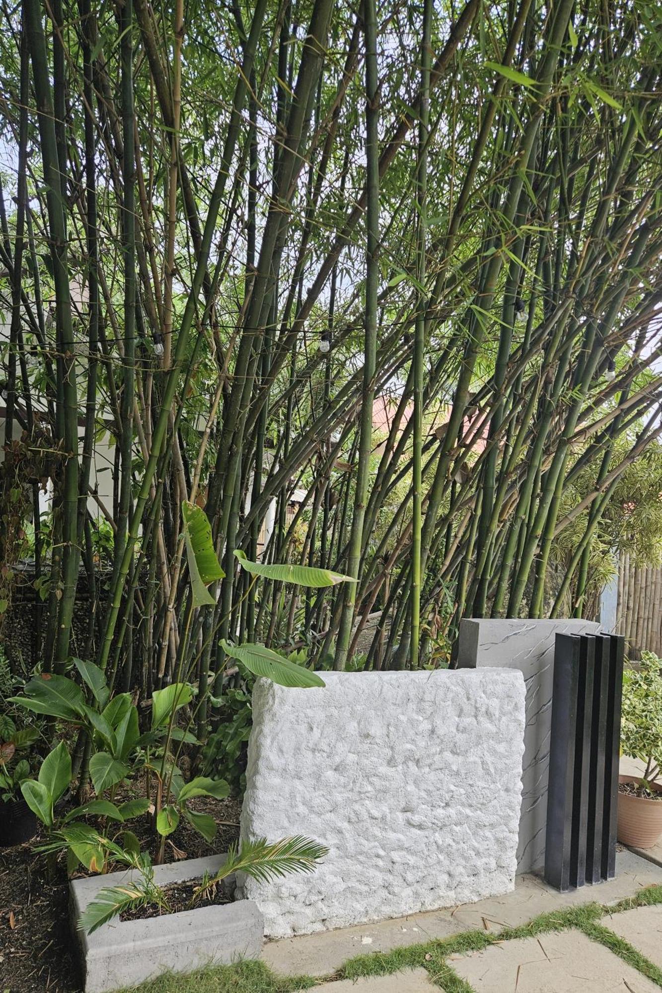 Holiday home Oceanside 2 Bedroom House, 100mbps Wifi Panglao