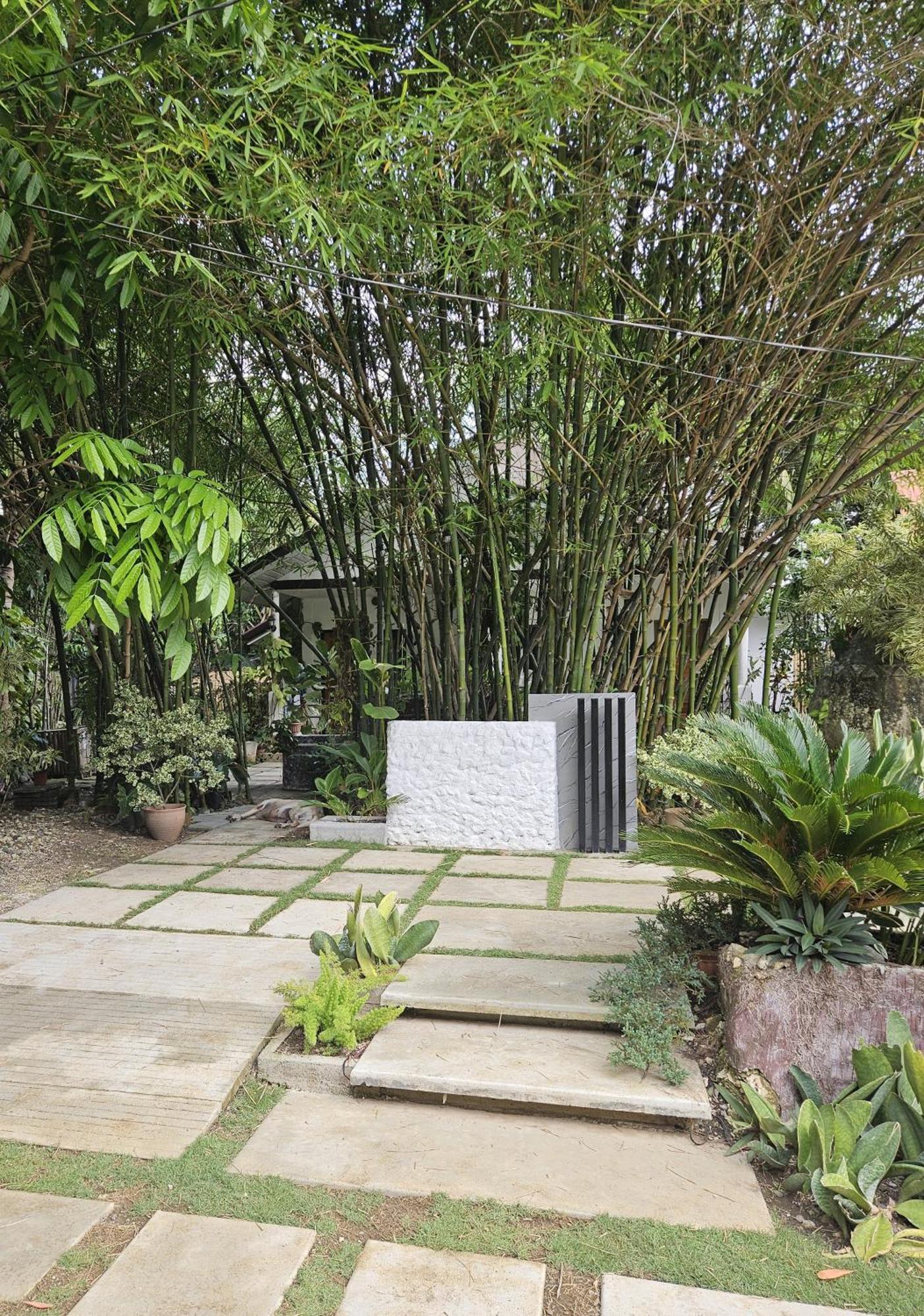 Oceanside 2 Bedroom House, 100mbps Wifi *