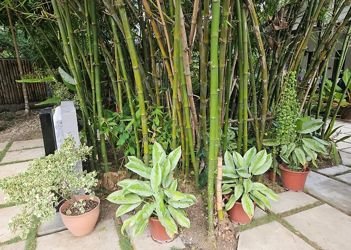 Oceanside 2 Bedroom House, 100Mbps Wifi